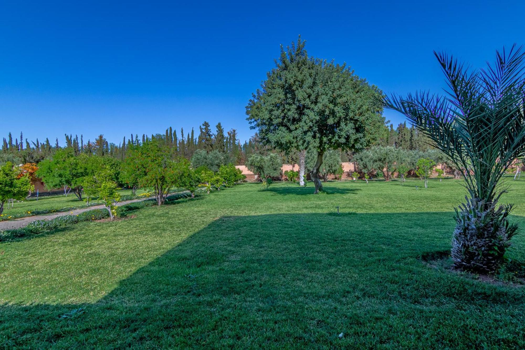 Palais Les Sources De L'Atlas & Spa El Harkat ภายนอก รูปภาพ
